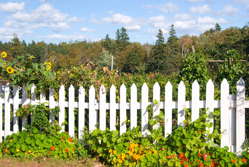 Fence